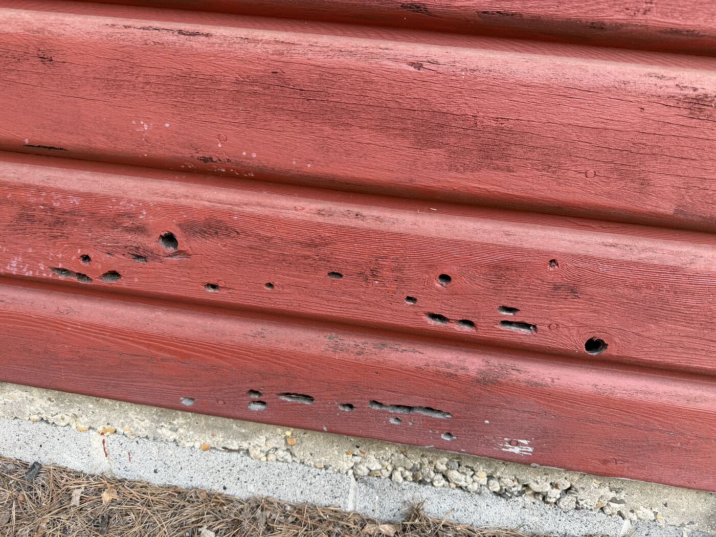 The base of a pavilion wall at Camp Inawendiwin, with carpenter bee holes along the siding just above the pine-straw ground.