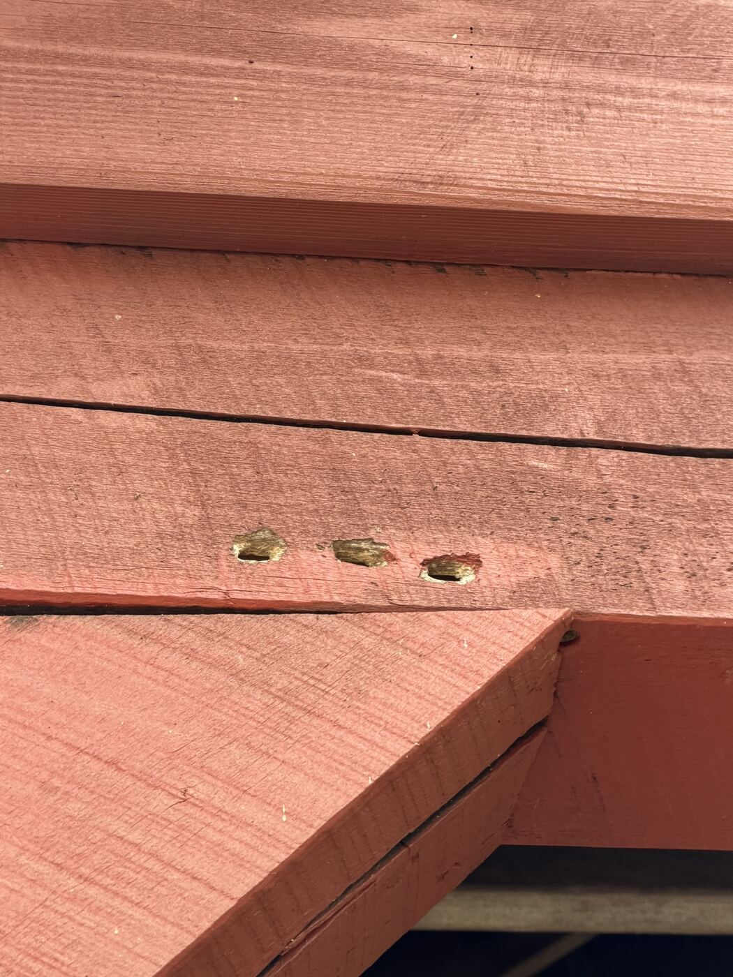 Three round carpenter bee entry holes drilled in a row along a painted red beam.