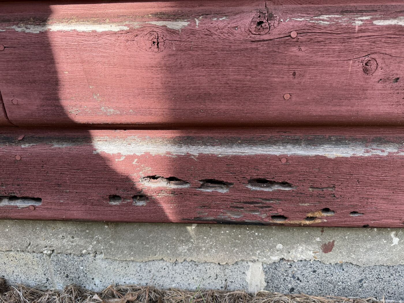 Several carpenter bee holes along a row of red-painted siding, with paint chipped away around the damage.