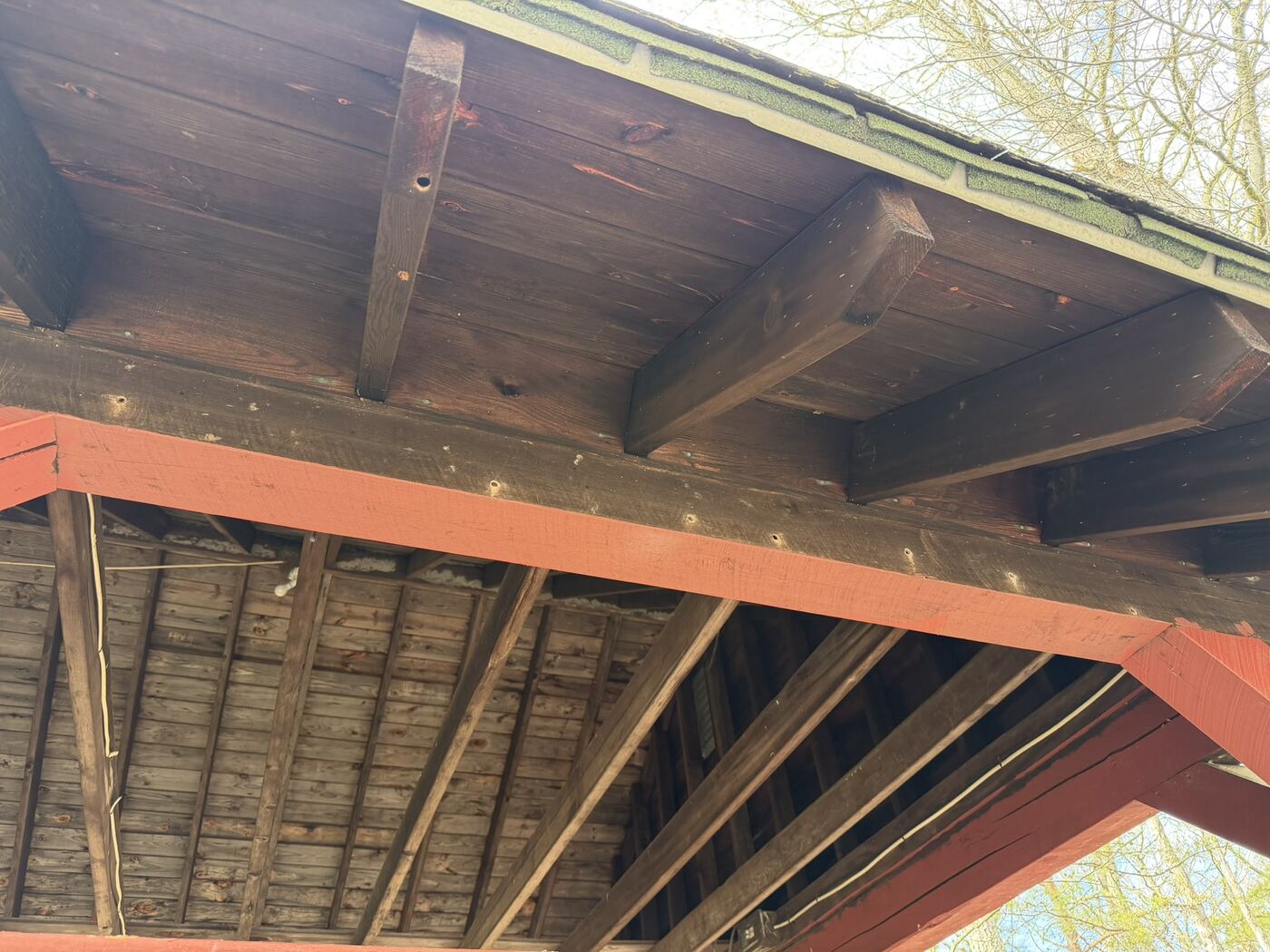 A wide view looking up into a pavilion's open rafters and roof frame, the kind of exposed softwood carpenter bees target.