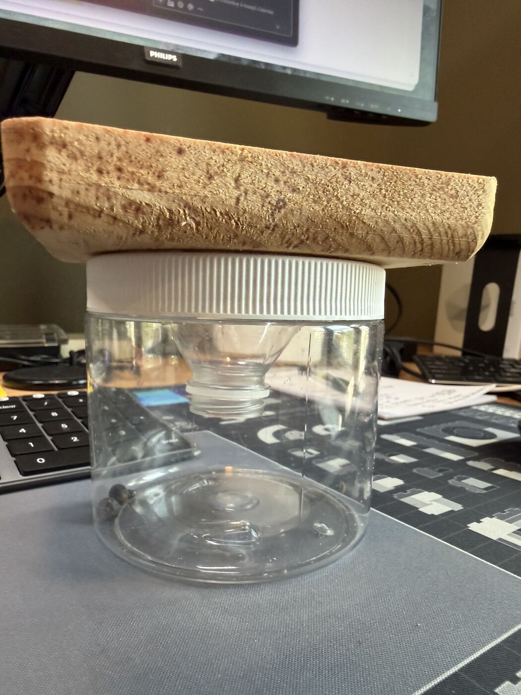 Side view of a pine base sitting on top of a clear plastic jar with a white lid.